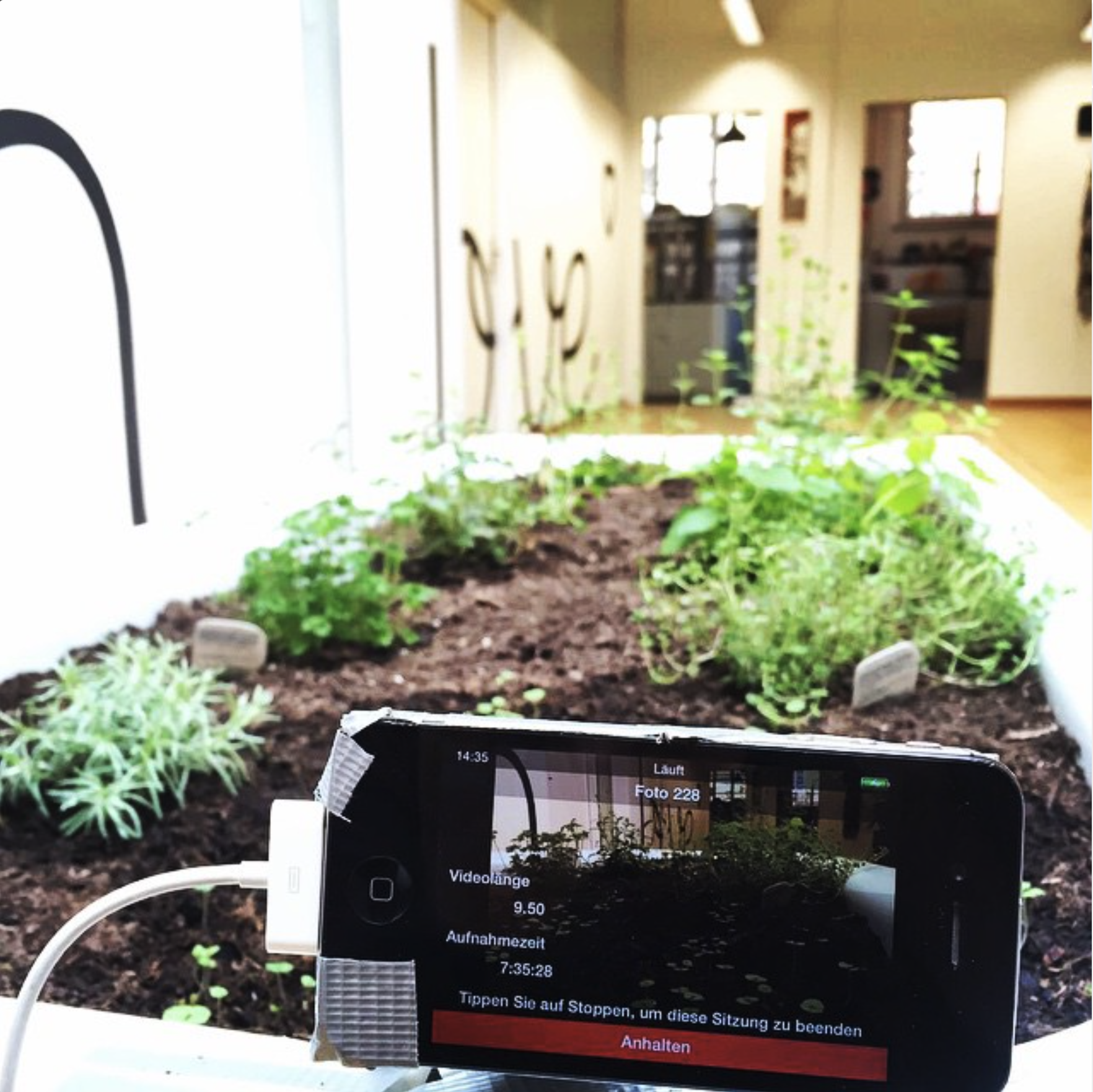 Ein Blick hinter die Kulissen der Installation der Kräuterbadewanne.