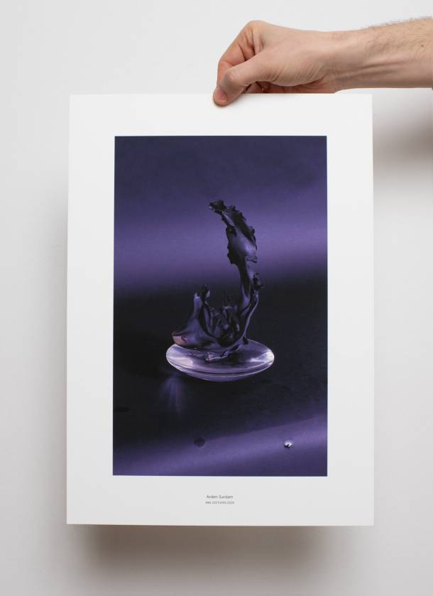 Arden Surdam, «Kelp»